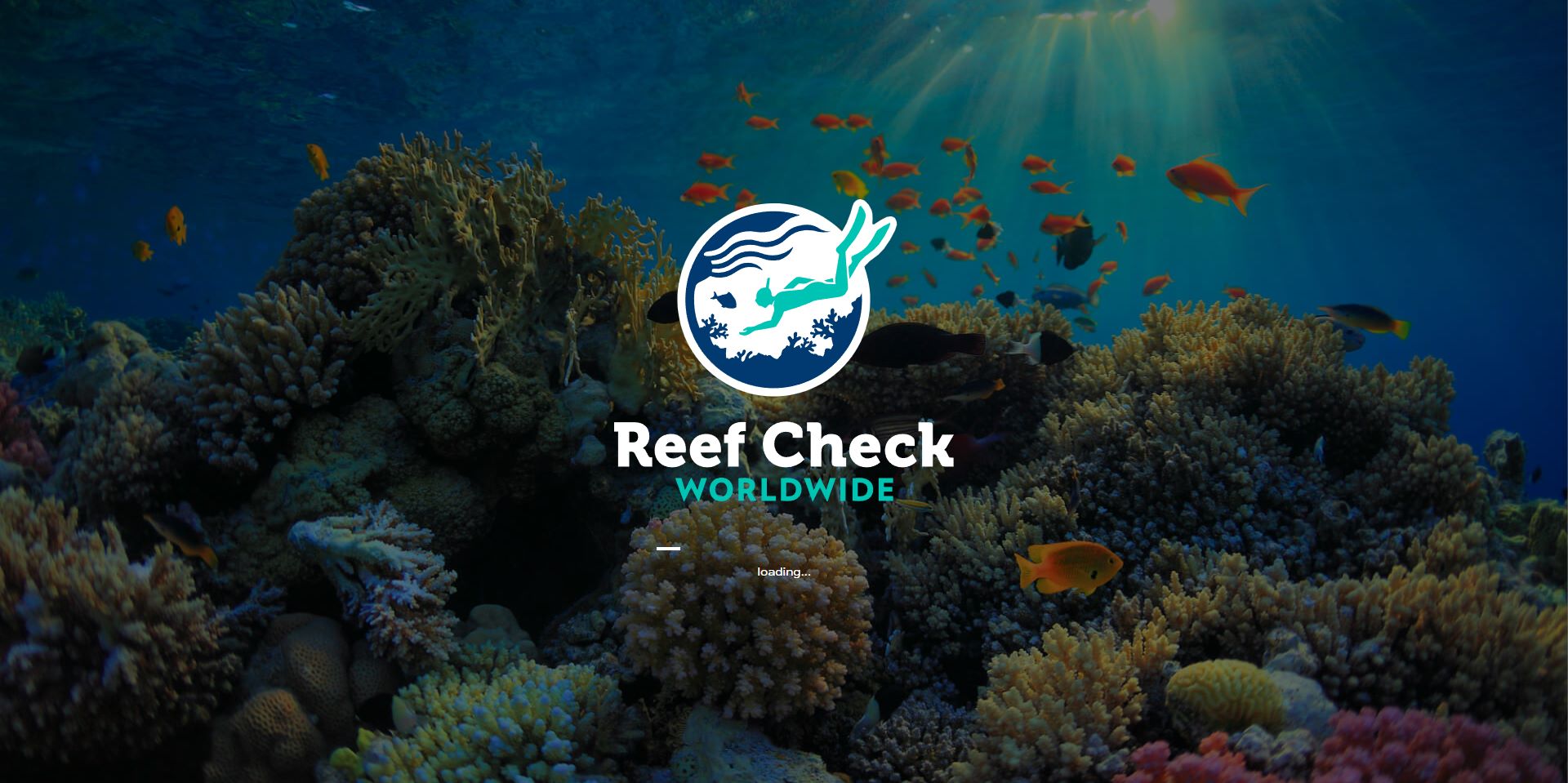 Screenshot of Reef Check loading screen.