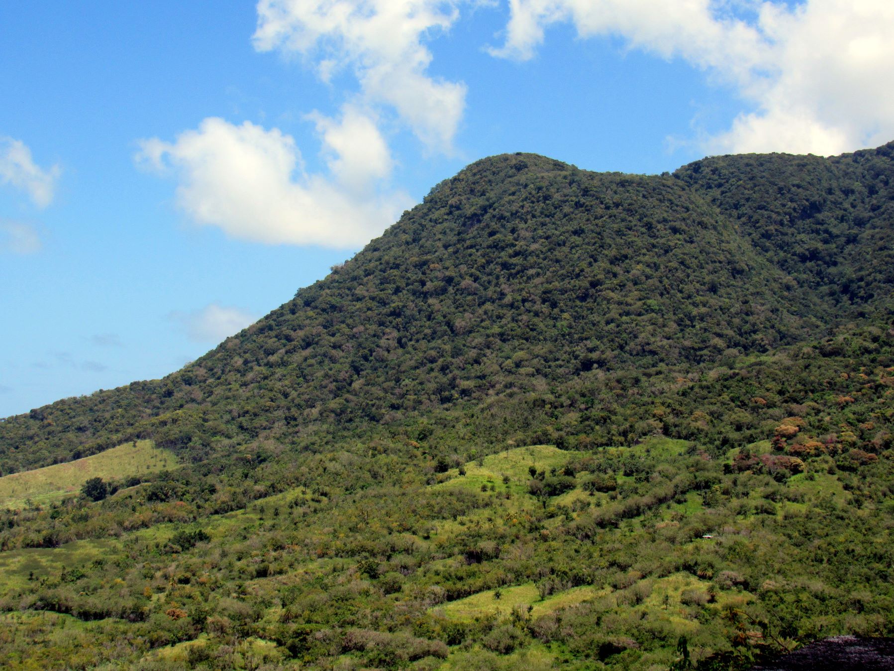 The Central Forest Reserve National Park