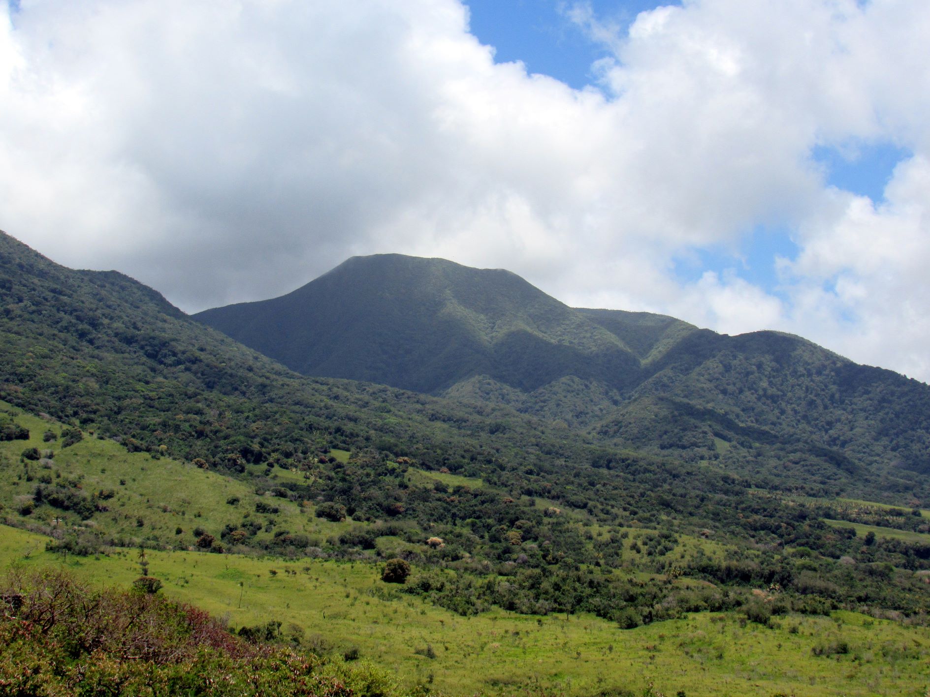 The Central Forest Reserve National Park