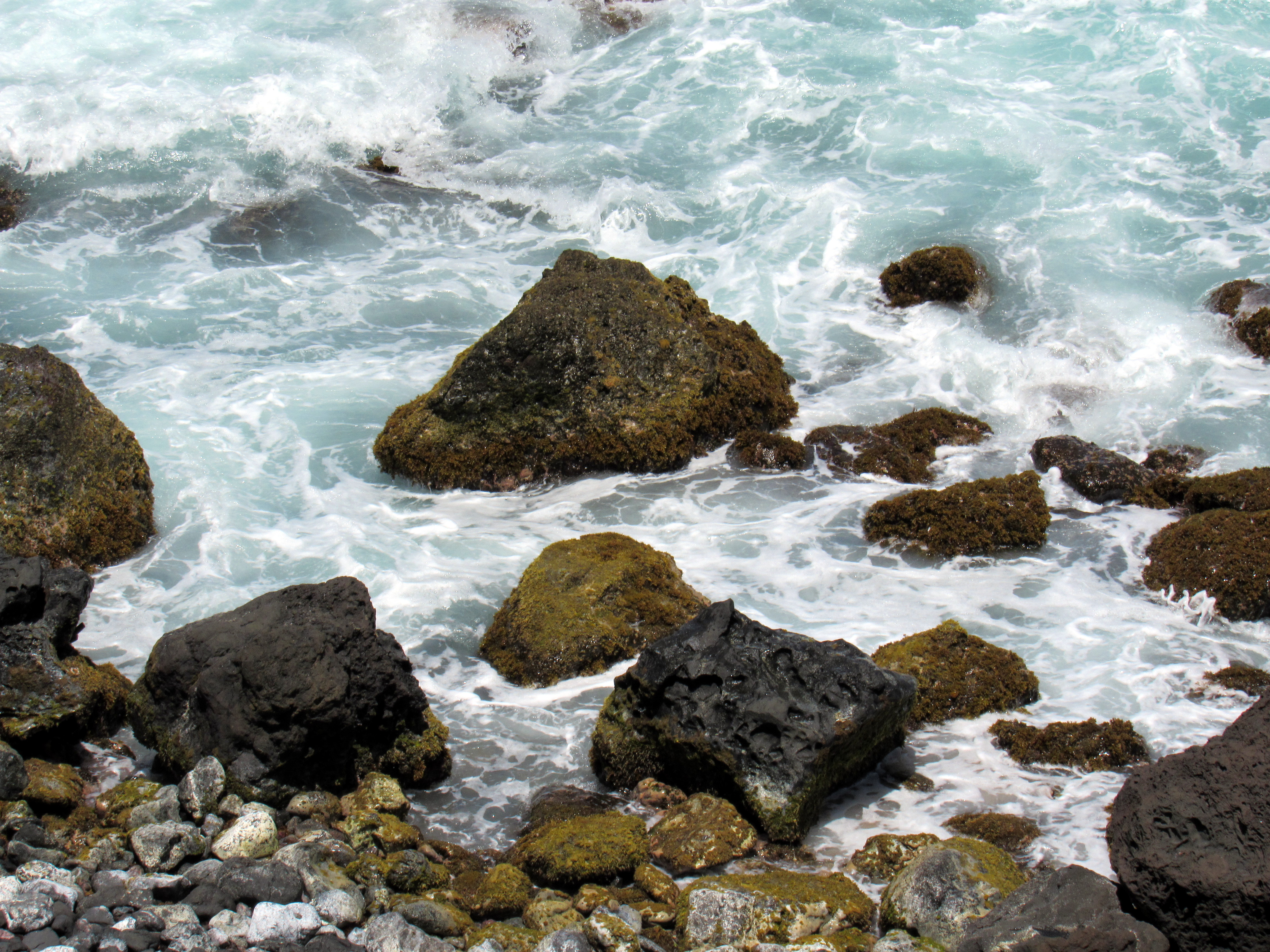 Marine Management Area (Black Rocks)