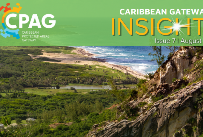 CPAG Newsletter Insights Issue 7