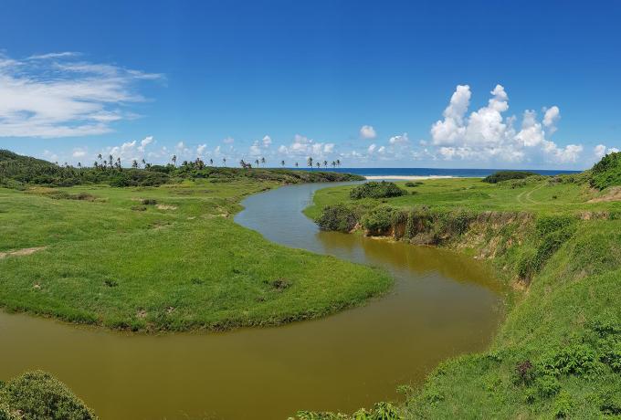 Nariva swamp, Trinidad & Tobago