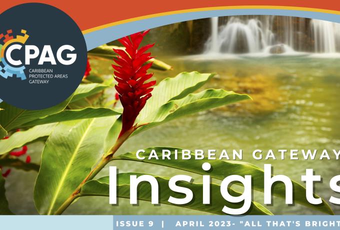 CPAG Newsletter Insights Issue 9