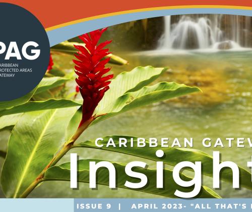 CPAG Newsletter Insights Issue 9
